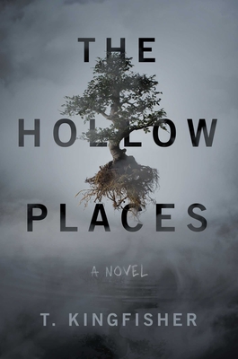 Seller image for The Hollow Places (Paperback or Softback) for sale by BargainBookStores