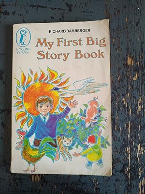 Imagen del vendedor de My First Big Story Book a la venta por Versandantiquariat Cornelius Lange