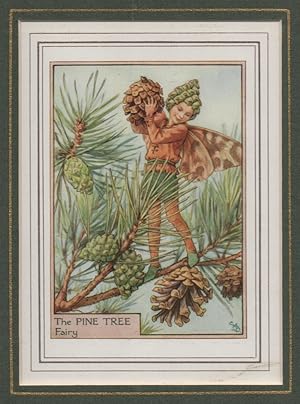 Seller image for The Pine Tree Fairy [Flower Fairies mounted colour plate] for sale by Adrian Harrington Ltd, PBFA, ABA, ILAB