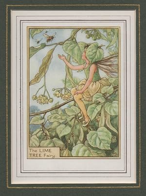 Immagine del venditore per The Lime Tree Fairy [Flower Fairies mounted colour plate] venduto da Adrian Harrington Ltd, PBFA, ABA, ILAB