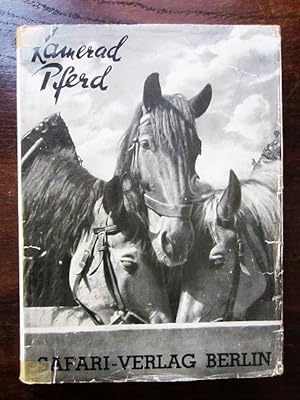Kamerad Pferd. Ein Buch von Ross und Reiter