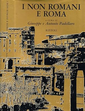Bild des Verkufers fr I NON ROMANI E ROMA TESTIMONIANZE E CONFESSIONI zum Verkauf von Biblioteca di Babele