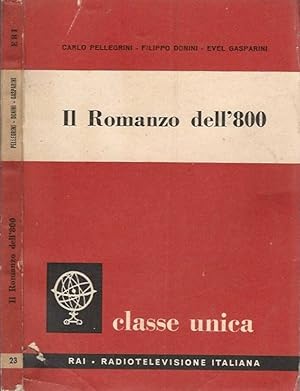 Seller image for Il romanzo dell'800 for sale by Biblioteca di Babele