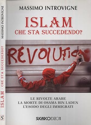 Bild des Verkufers fr Islam - Che sta succedendo? Le rivolte Arabe. La morte di Osama Bin Laden. L'esodo degli immigrati zum Verkauf von Biblioteca di Babele