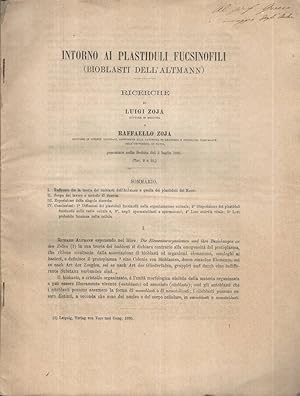 Imagen del vendedor de Intorno ai plastiduli fucsinofili (bioblasti dell'Altmann) Ricerche a la venta por Biblioteca di Babele