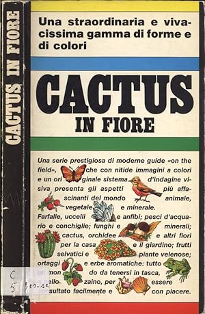 Seller image for Cactus in fiore for sale by Biblioteca di Babele