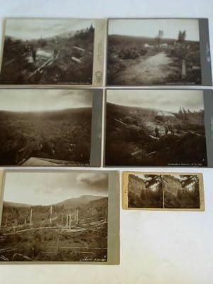 Der Harz. Neueste Original-Aufnahmen - 5 auf Karton gezogene Original-Fotografien Das Unwetter b....