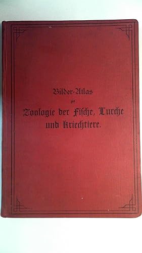 Bilder-Atlas zur Zoologie der Fisch, Lurche und Kriechtiere - mit beschreibenden Text.
