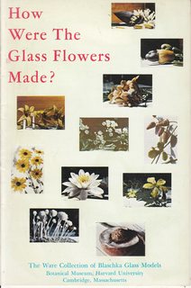 Botanical Museum Leaflets, Harvard University, Vol. 19, No. 6, How Were the Glass Flowers Made? A...