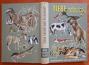 Imagen del vendedor de Tiere erlebt und belauscht. Tiergeschichten aus aller Welt a la venta por Gabis Bcherlager