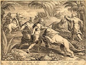 Antique Hunting Print-LIONS-AFRICA-Stradanus-1636