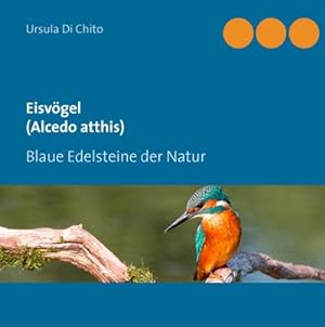 Bild des Verkufers fr Eisvgel (Alcedo atthis) : Blaue Edelsteine der Natur zum Verkauf von AHA-BUCH GmbH