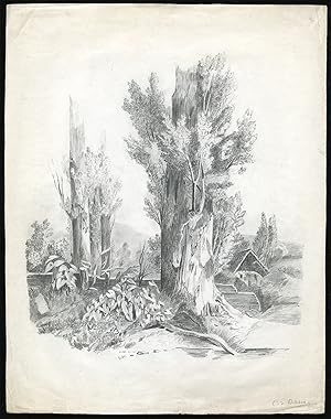 Antique Drawing-LANDSCAPE-FOREST-TREE-DWELLING-Willebois-ca. 1860