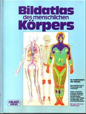 Seller image for Bildatlas des menschlichen Krpers. So funktioniert der Krper. Eine Einfhrung in die Physiologie und Anatomie. for sale by Leonardu