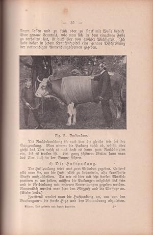 Seller image for Das gesunde und kranke Haustier II.Band Grosstiere: Pferde for sale by Clivia Mueller