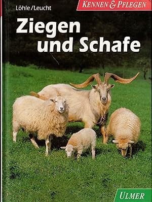 Immagine del venditore per Ziegen und Schafe (Kennen & Pflegen) venduto da Paderbuch e.Kfm. Inh. Ralf R. Eichmann