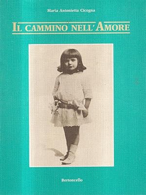 Bild des Verkufers fr Il cammino nell'amore zum Verkauf von Librodifaccia