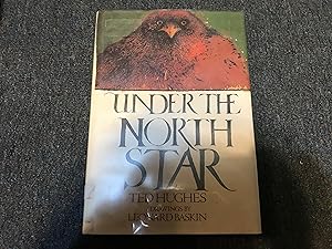 Seller image for Under the North Star for sale by Betty Mittendorf /Tiffany Power BKSLINEN