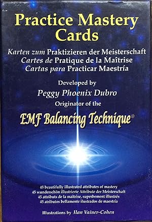 Bild des Verkufers fr Practice Mastery Cards zum Verkauf von Le Songe de Polia
