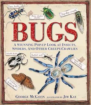 Bild des Verkufers fr Bugs : A Stunning Pop-Up Look at Insects, Spiders, and Other Creepy-Crawlies zum Verkauf von GreatBookPrices