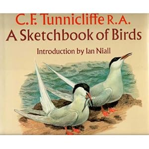 Seller image for A Sketchbook of Birds for sale by Buteo Books