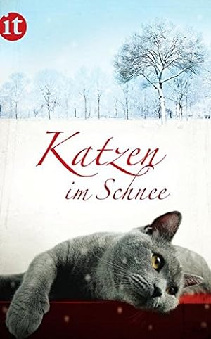 Seller image for Katzen im Schnee (insel taschenbuch) for sale by Gabis Bcherlager