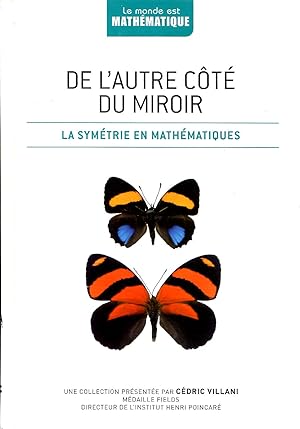 Bild des Verkufers fr De l'autre ct du miroir - La symtrie en mathmatiques zum Verkauf von Sylvain Par