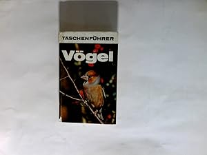 Seller image for Vgel Taschenfhrer for sale by Antiquariat Buchhandel Daniel Viertel