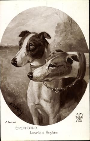 Künstler Ansichtskarte / Postkarte Samson, E., Greyhound, Levriers Anglais, Hundeportrait