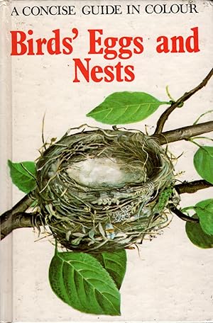 BIRDS' EGGS AND NESTS