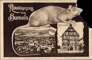 Ansichtskarte / Postkarte Hameln an der Weser Niedersachsen, Panorama, Rattenfängerhaus