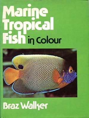 Bild des Verkufers fr Marine Tropical Fish in Colour zum Verkauf von Godley Books