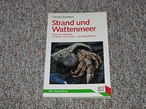 Bild des Verkufers fr Strand und Wattenmeer : Tiere u. Pflanzen an Nord- u. Ostsee - e. Biotopfhrer. Georg Quedens / BLV-Naturfhrer ; 805 zum Verkauf von Antiquariat Johannes Hauschild