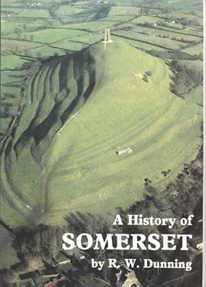Seller image for History of Somerset for sale by Oopalba Books