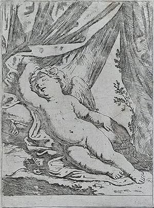 PUTTO DORMIENTE