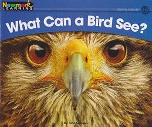 Imagen del vendedor de What Can a Bird See? (5+) a la venta por La Librer�a, Iberoamerikan. Buchhandlung