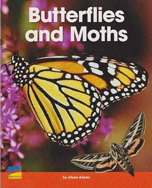 Butterflies and Moths