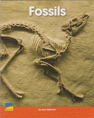 Seller image for Fossils (5+) for sale by La Librer�a, Iberoamerikan. Buchhandlung