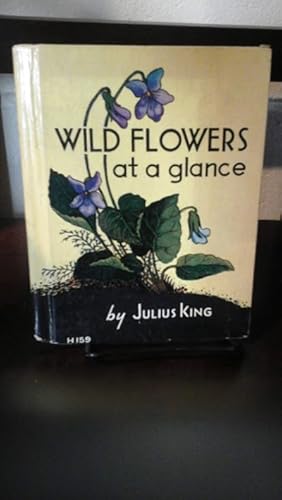 Image du vendeur pour Wild Flowers at a Glance mis en vente par Stone Soup Books Inc