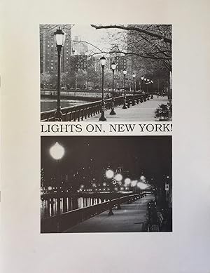 Lights on, New York! Streetlights and City Life in the Era of Electricity