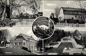 Bild des Verkufers fr Ansichtskarte / Postkarte Reinfeld in Holstein, Gartenpartie, Gartenhaus, Rathaus, Kurheim zum Verkauf von akpool GmbH