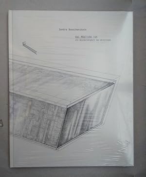 Bild des Verkufers fr Sandra Boeschenstein: Das Mgliche ist - die Geschwindigkeit des Wirklichen (Museum zu Allerheiligen Kunstverein Schaffhausen, 14. September bis 9. November 2003). zum Verkauf von Wissenschaftl. Antiquariat Th. Haker e.K