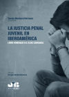 Image du vendeur pour La justicia penal juvenil en Iberoamrica mis en vente par AG Library