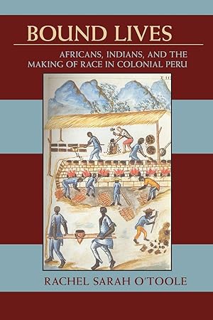 Africans, Indians, and the Making of Race in Colonial Peru