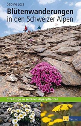 Blütenwanderungen in den Schweizer Alpen. Streifzüge zu seltenen Alpenpflanzen