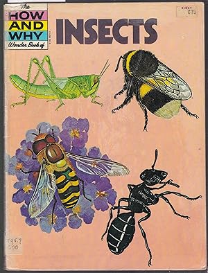 Seller image for The How and Why Wonder Book of Insects for sale by Laura Books