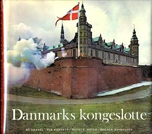 Danmarks kongeslotte