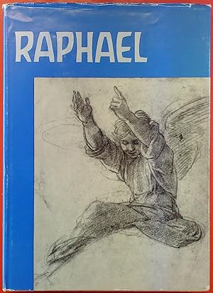 Bild des Verkufers fr Raphael von Urbino, Band II: Die rmischen Werke zum Verkauf von biblion2