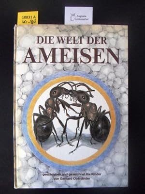 Die Welt der Ameisen.