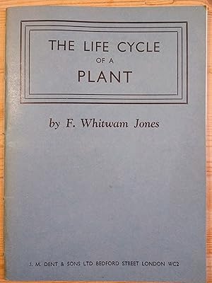 The Life Cycle of a Plant